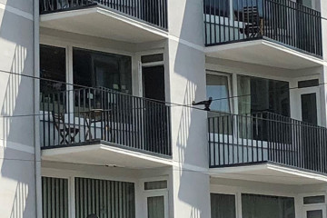 JWI Header Immobilien 