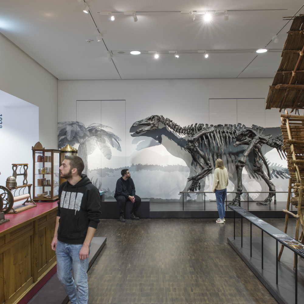 © Uebersee Museum Bremen Foto Volker Beinhorn | Blick in den Bereich Liebste Stuecke  | 
